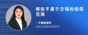 哪些不属于交强险赔偿范围
