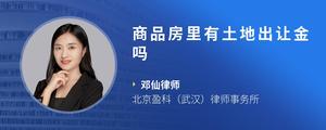 商品房里有土地出让金吗