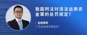 我国刑法对违法运用资金罪的处罚规定?