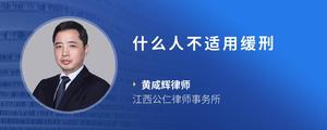 什么人不适用缓刑