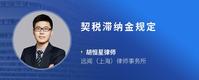契税滞纳金规定