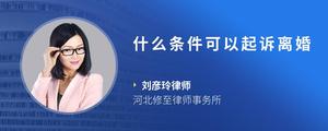 什么条件可以起诉离婚