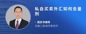 私自买卖外汇如何去量刑