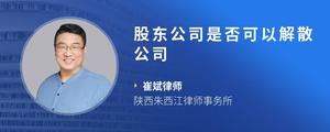 股东公司是否可以解散公司
