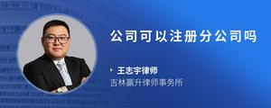 公司可以注册分公司吗