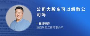 公司大股东可以解散公司吗