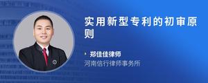 实用新型专利的初审原则