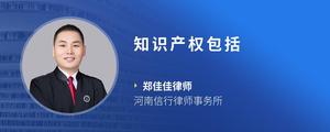 知识产权包括