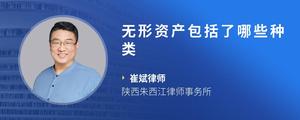 无形资产包括了哪些种类