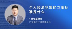 个人经济犯罪的立案标准是什么