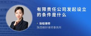 有限责任公司发起设立的条件是什么
