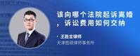 该向哪个法院起诉离婚,诉讼费用如何交纳
