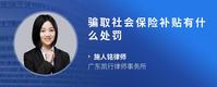 骗取社会保险补贴有什么处罚