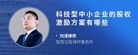 科技型中小企业的股权激励方案有哪些