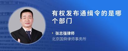 有权发布通缉令的是哪个部门
