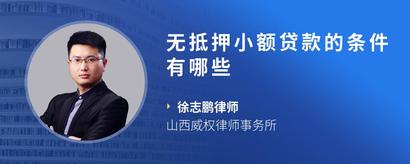 无抵押小额贷款的条件有哪些