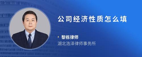 公司经济性质怎么填