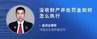 没收财产并处罚金如何怎么执行