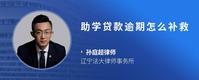助学贷款逾期怎么补救