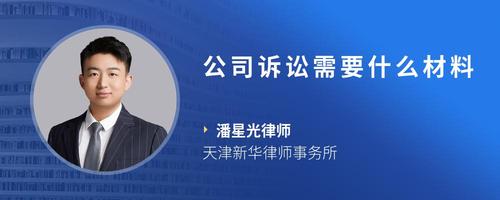 公司诉讼需要什么材料