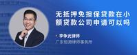 无抵押免担保贷款在小额贷款公司申请可以吗