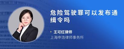 危险驾驶罪可以发布通缉令吗