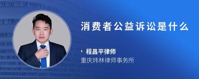 消费者公益诉讼是什么