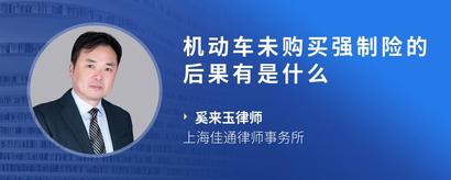 机动车未购买强制险的后果有是什么