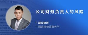 公司财务负责人的风险