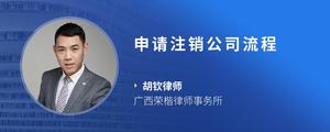 申请注销公司流程