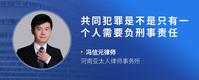 共同犯罪是不是只有一个人需要负刑事责任