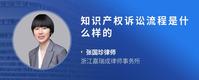 知识产权诉讼流程是什么样的