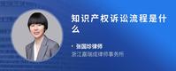 知识产权诉讼流程是什么