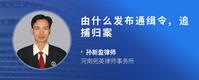 由什么发布通缉令,追捕归案