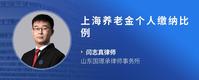 上海养老金个人缴纳比例