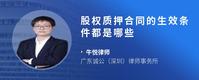 股权质押合同的生效条件都是哪些