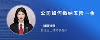 公司如何缴纳五险一金