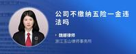 公司不缴纳五险一金违法吗
