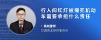 行人闯红灯被撞死机动车需要承担什么责任