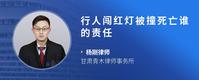 行人闯红灯被撞死亡谁的责任