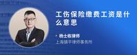工伤保险缴费工资是什么意思