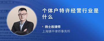 个体户特许经营行业是什么