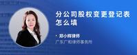 分公司股权变更登记表怎么填