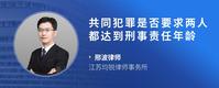 共同犯罪是否要求两人都达到刑事责任年龄