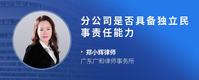 分公司是否具备独立民事责任能力