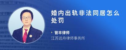 婚内出轨非法同居怎么处罚