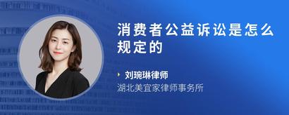 消费者公益诉讼是怎么规定的