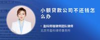 小额贷款公司不还钱怎么办