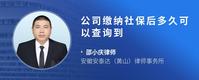 公司缴纳社保后多久可以查询到