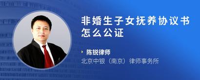 非婚生子女抚养协议书怎么公证